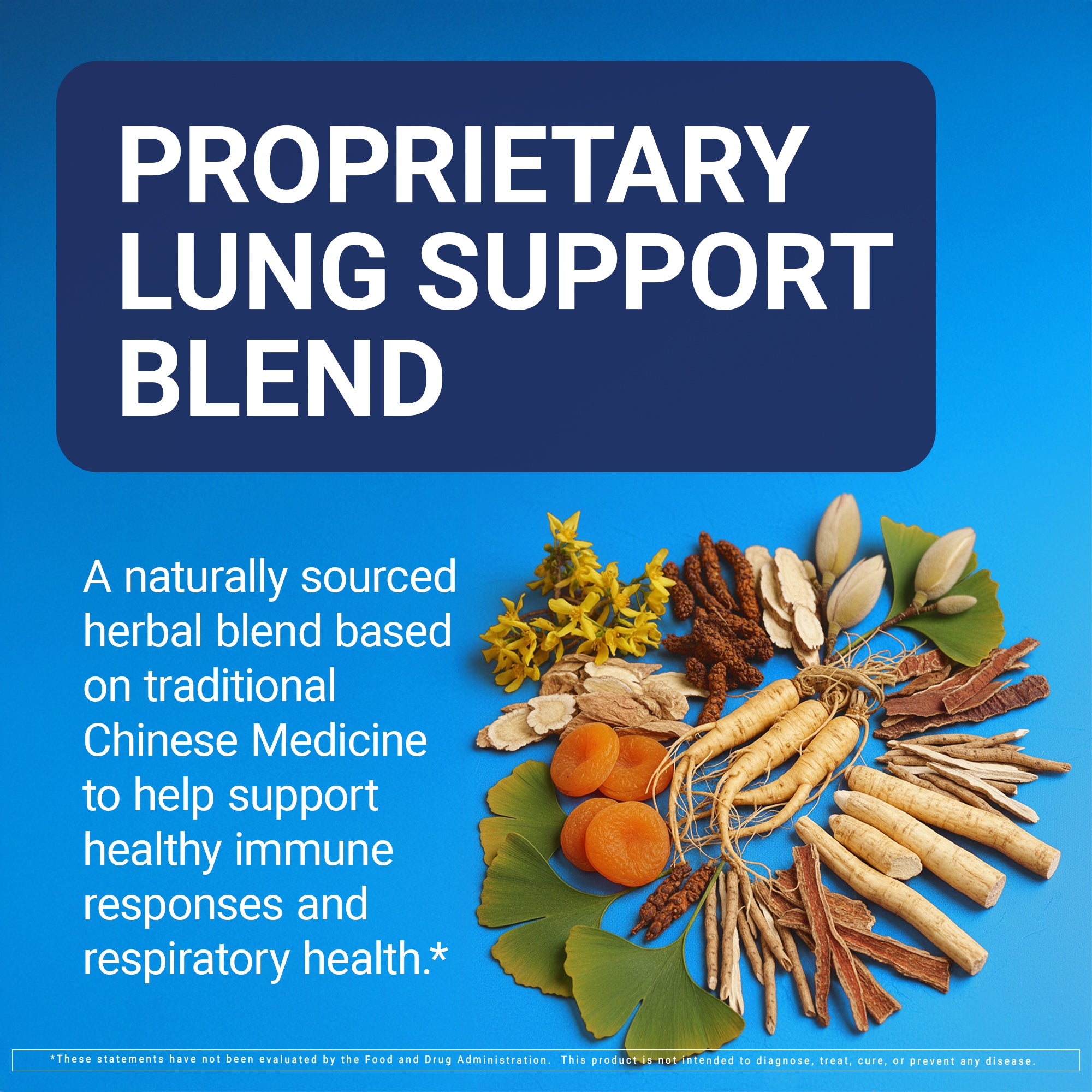 Proprietary lung support blend with herbs on a blue background