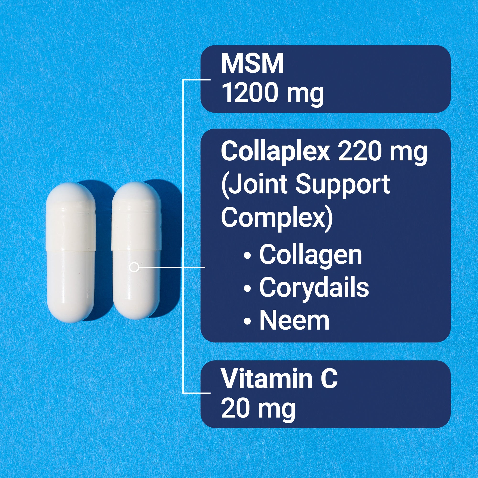 Two white capsules with Joint Support Complex on a blue background