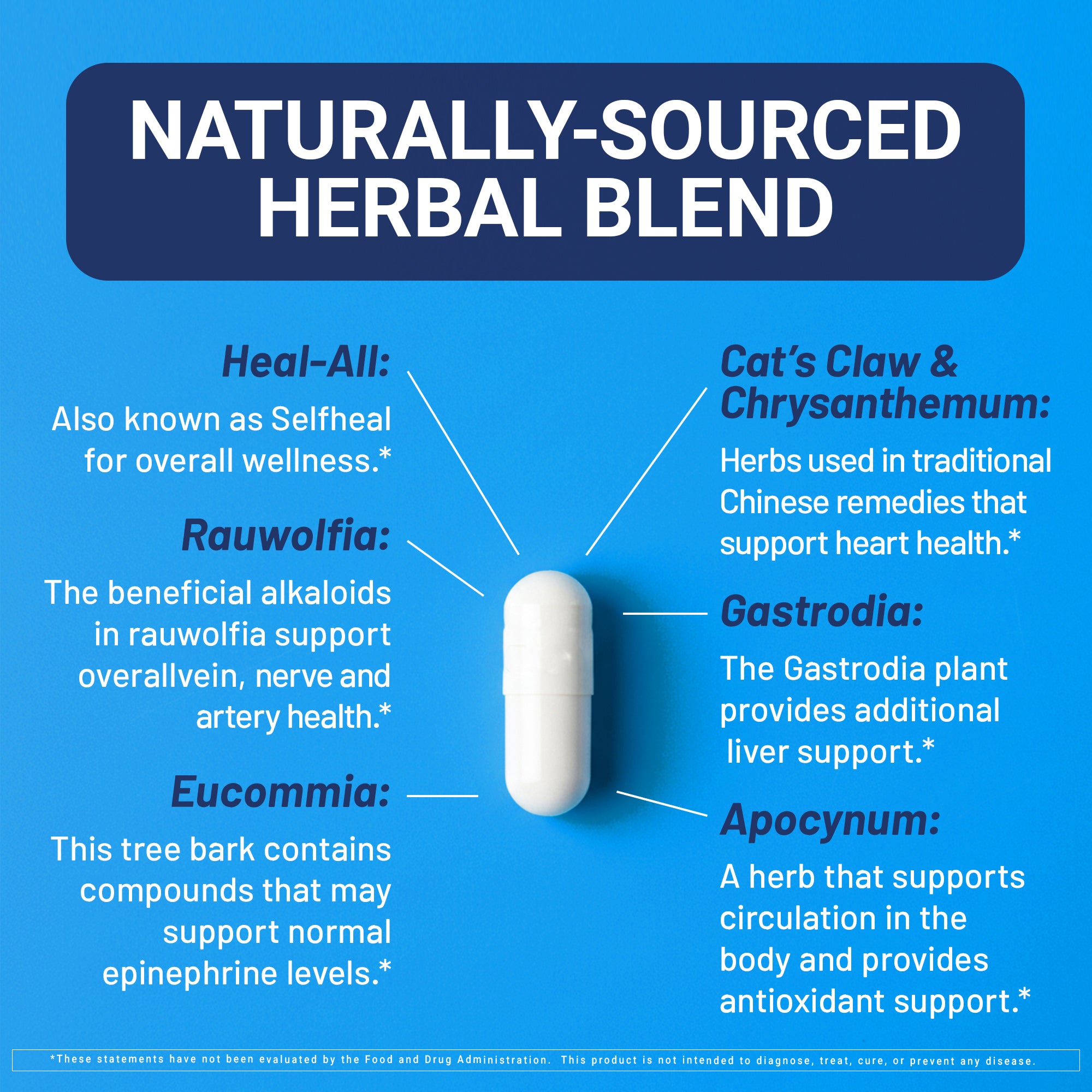 Naturally-sourced herbal blend pill with labeled ingredients on a blue background