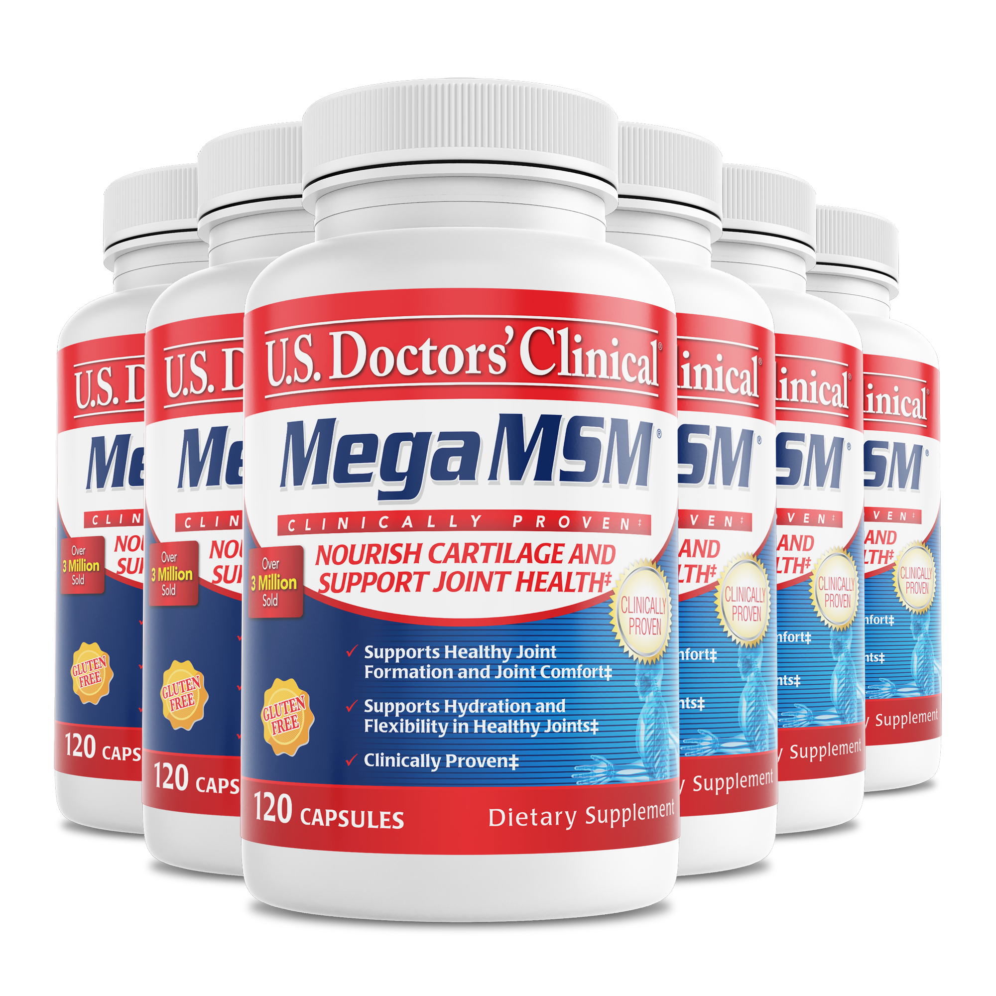 Mega MSM bottle 6 pack