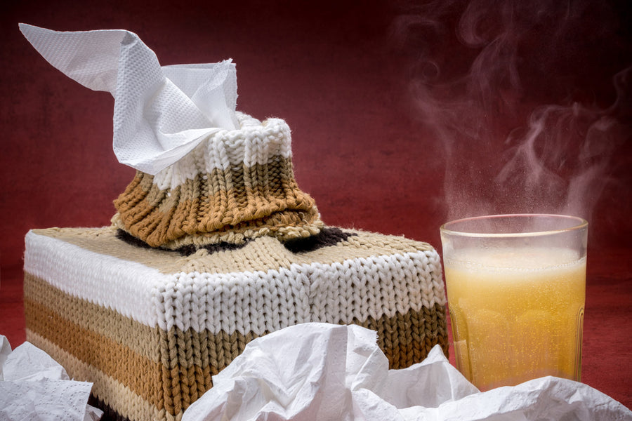 Knowing the Different Remedies for Colds vs Sinus Infections