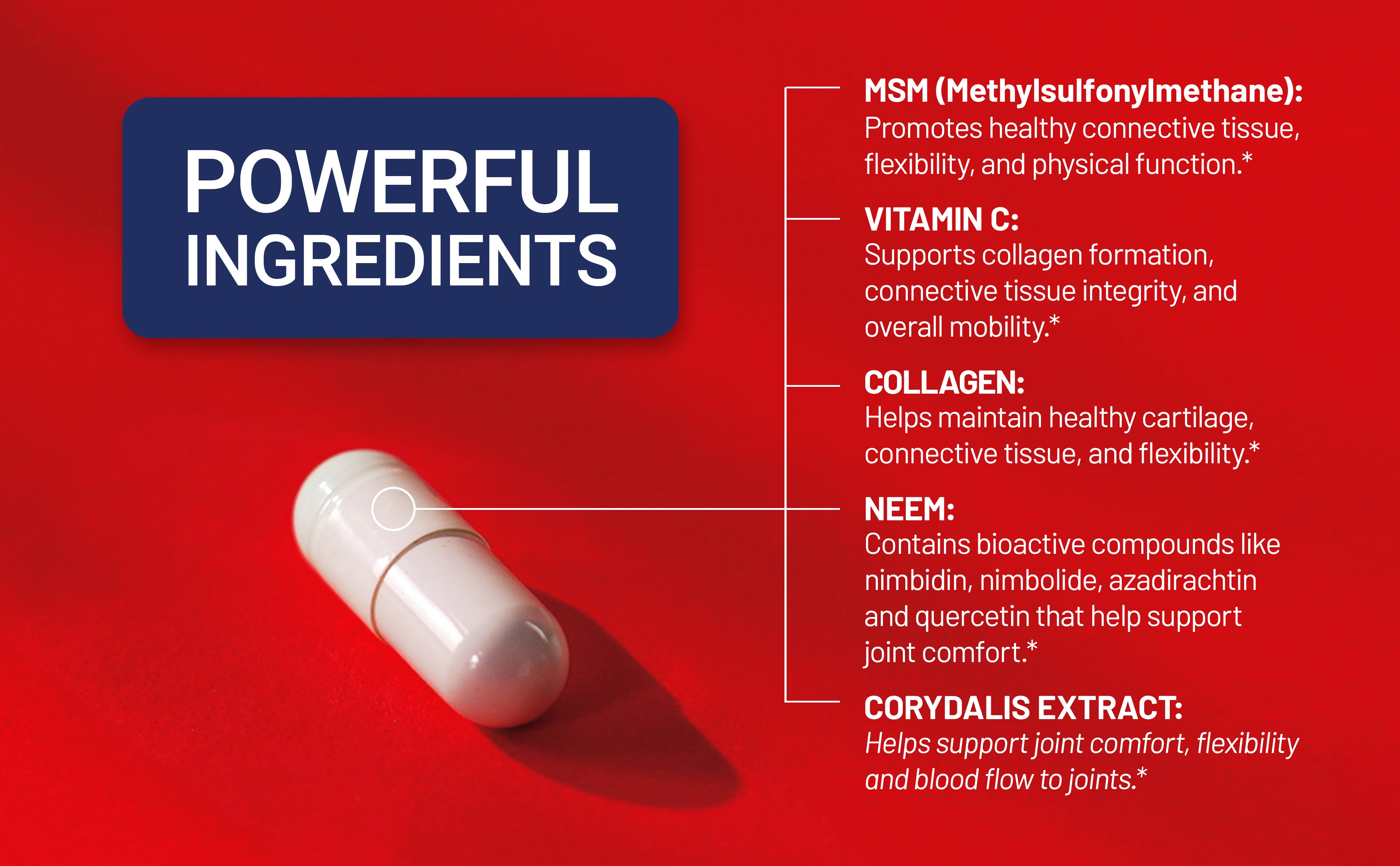 Capsule with 'Powerful Ingredients' label on a red background